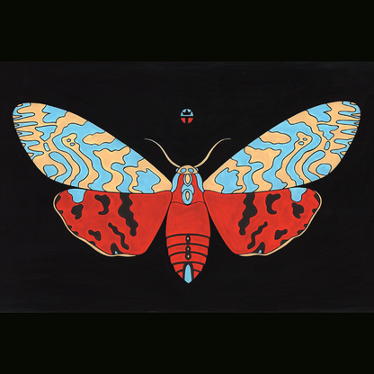 Tiger Moth