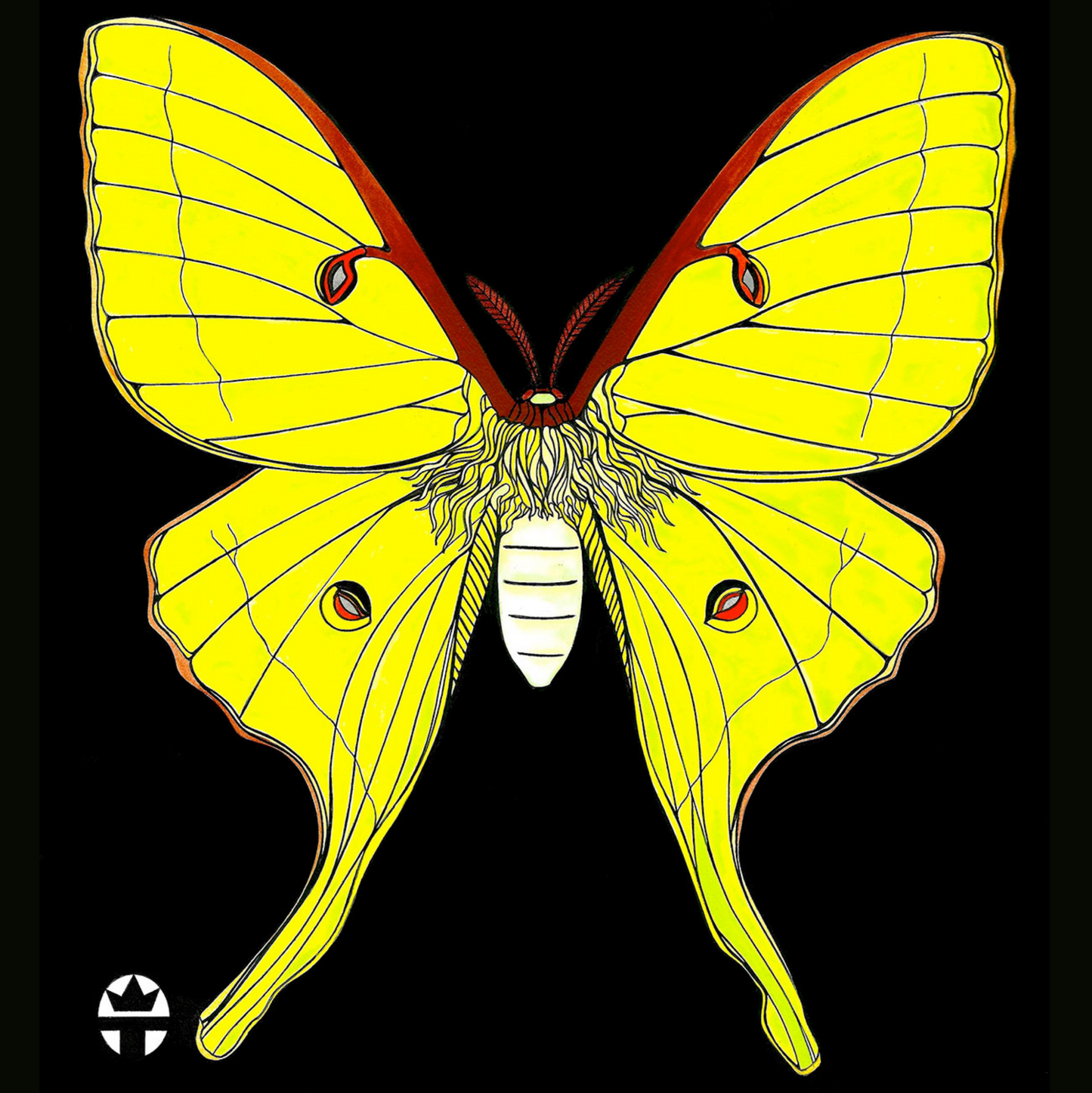 Luna Moth