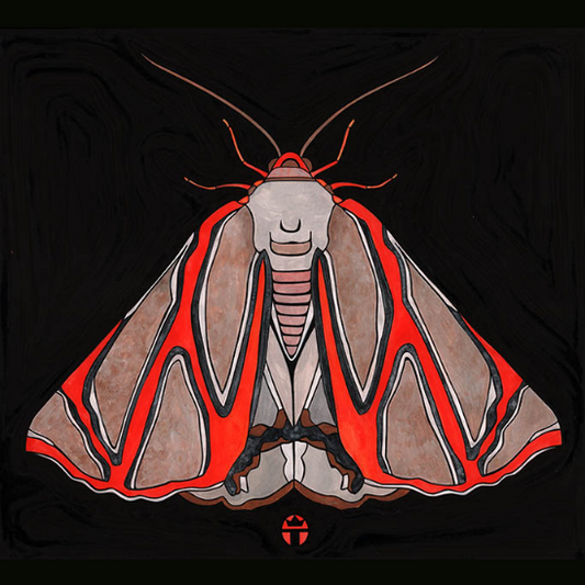 Beautiful Moth