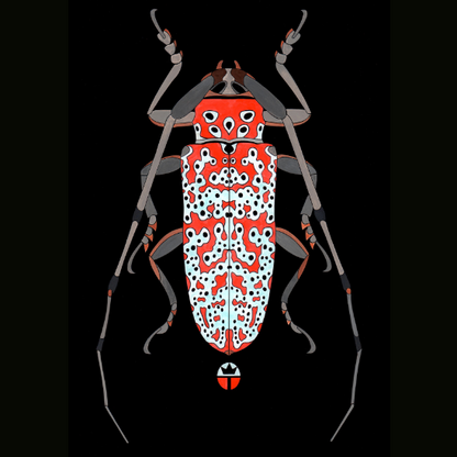 Beautyfull Beetle 3