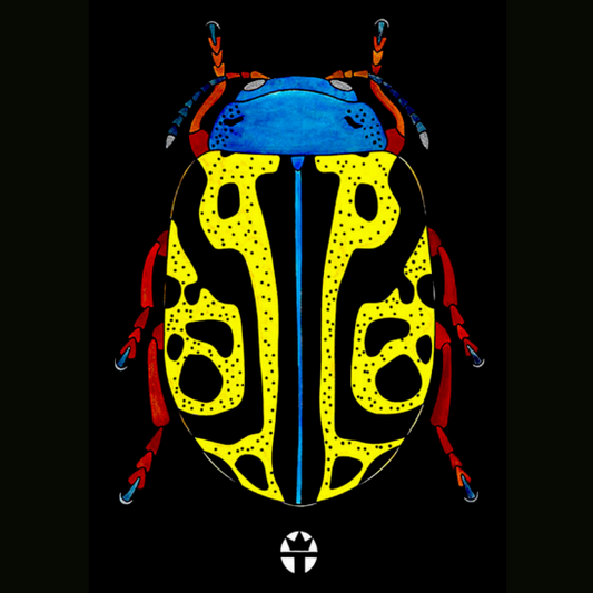 Calligrapha Serpentina