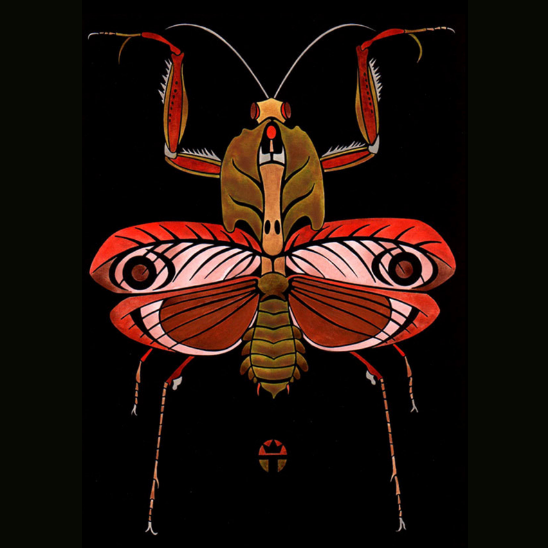Praying Mantis