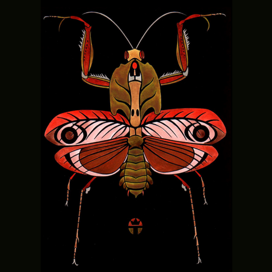 Praying Mantis
