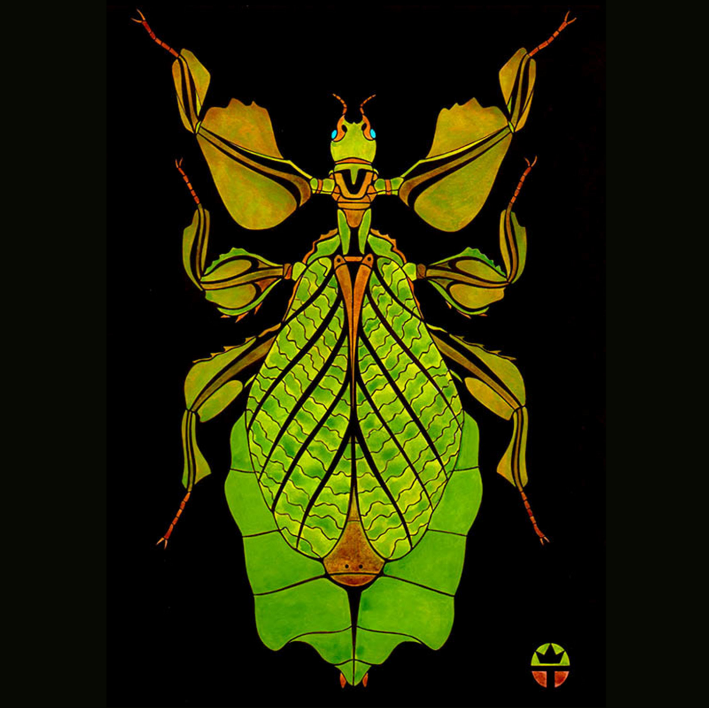 Leaf Bug