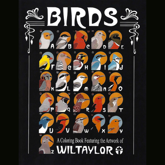 Birds Coloring Book