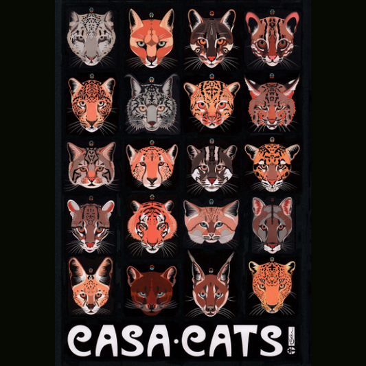 Casa Cats Poster