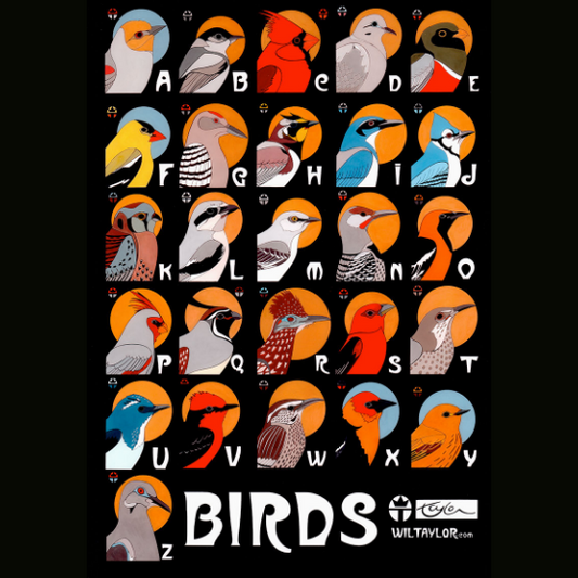 Birds Poster
