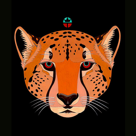 Cheetah