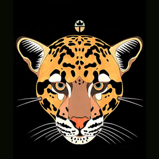 Clouded Leopard