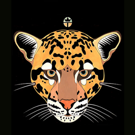Clouded Leopard