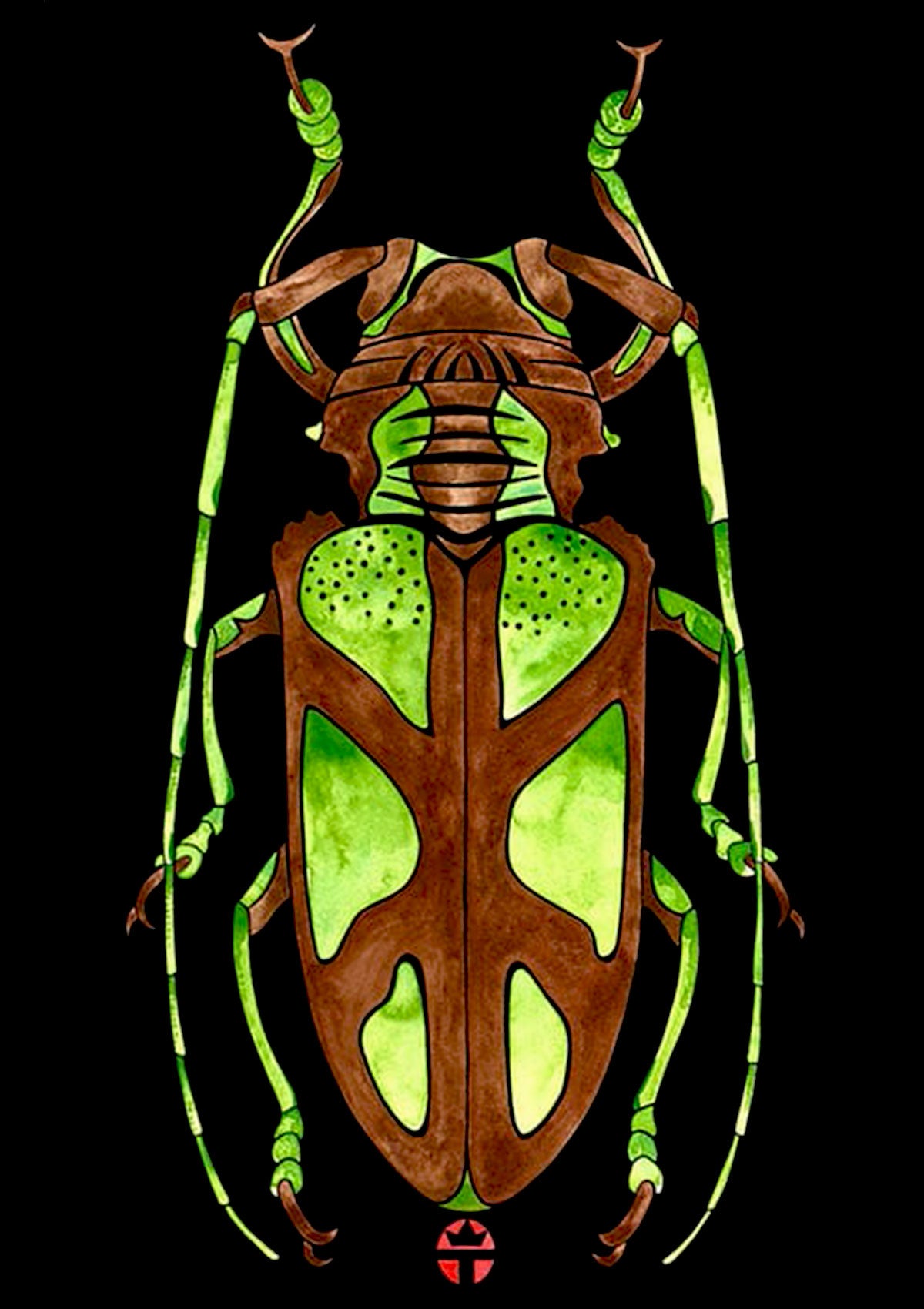 anoplastetha lactator bug, green and brown, print from original artwork by wil taylor