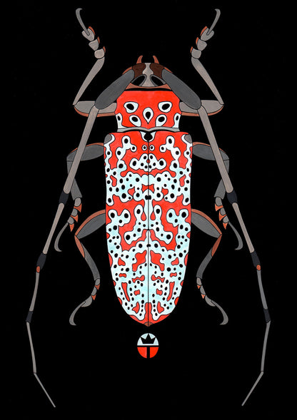 Beautyfull Beetle 3