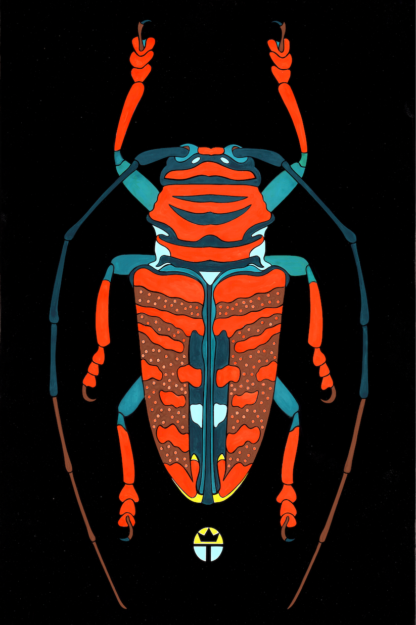 Beautyfull Beetle 1