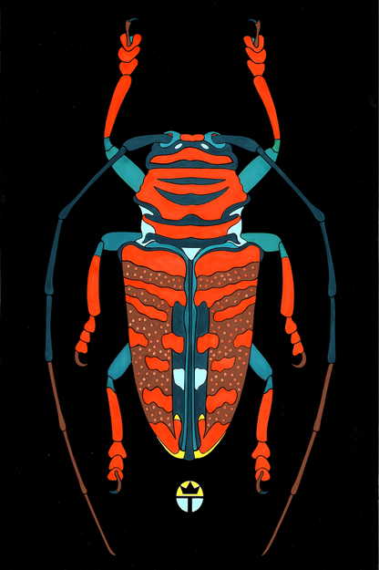 Beautyfull Beetle 1