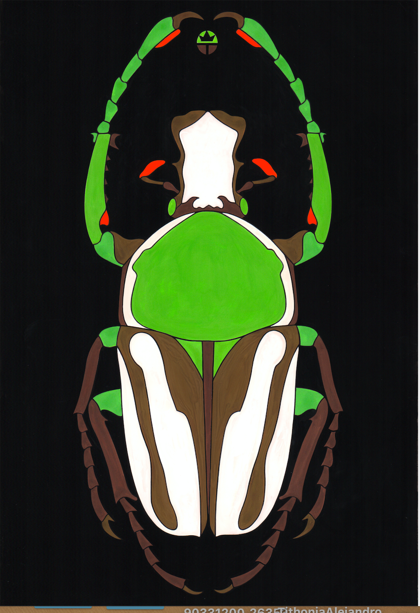 Beautyfull Beetle 2
