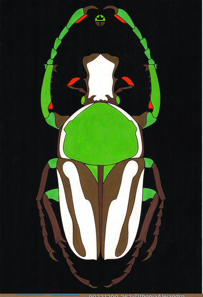 Beautyfull Beetle 2