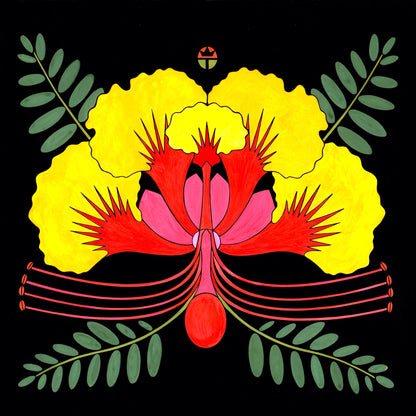 Bird of Paradise
