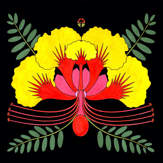 Bird of Paradise