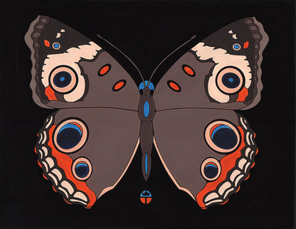 buckeye moth 