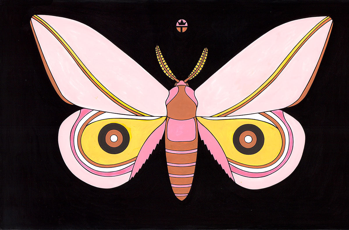 Pink Cecrops (Sold)