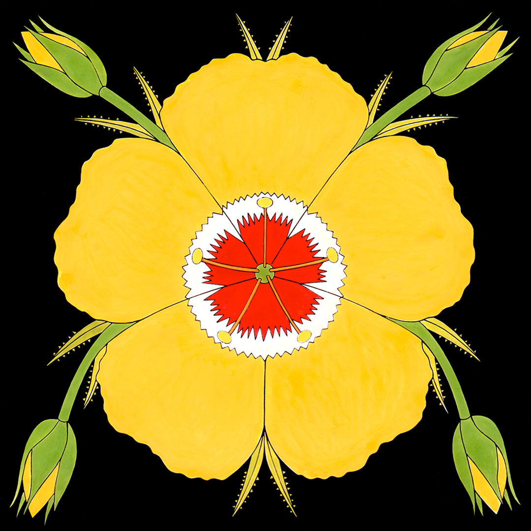 chihuahuan flax yellow flower. fine art signed print by wil taylor