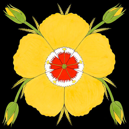 chihuahuan flax yellow flower. fine art signed print by wil taylor