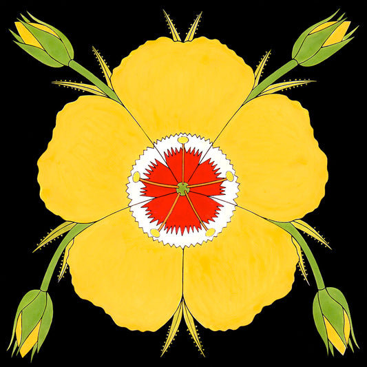 chihuahuan flax yellow flower. fine art signed print by wil taylor