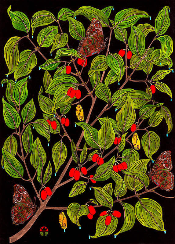 Emergence [Cornelian Cherry]