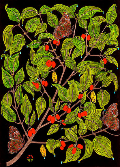 Emergence [Cornelian Cherry]