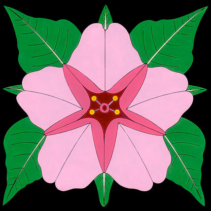 Pink Desert 4 o'clock flower by wil taylor