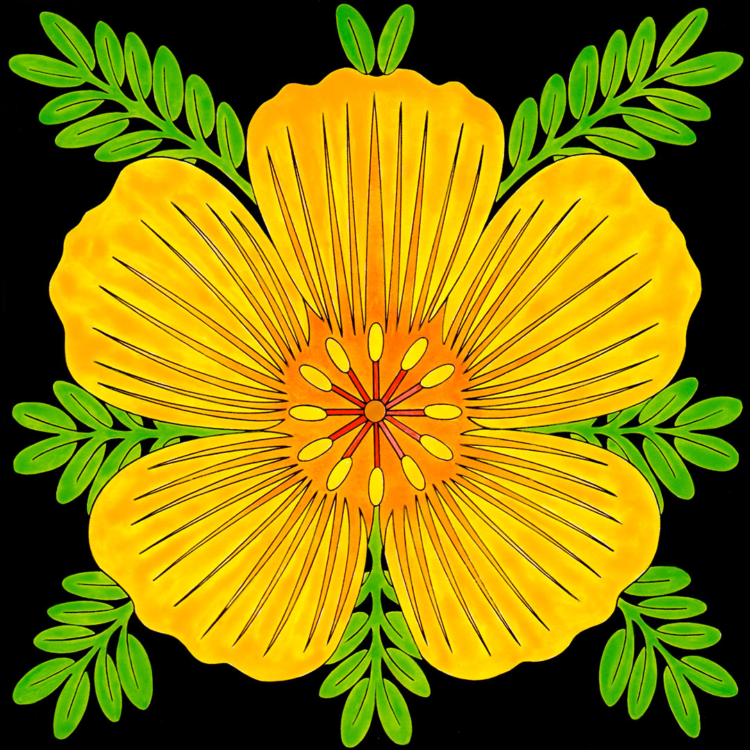 picture of yellow desert poppy flower 12 inches by 12 inches. tucson artist wil taylor