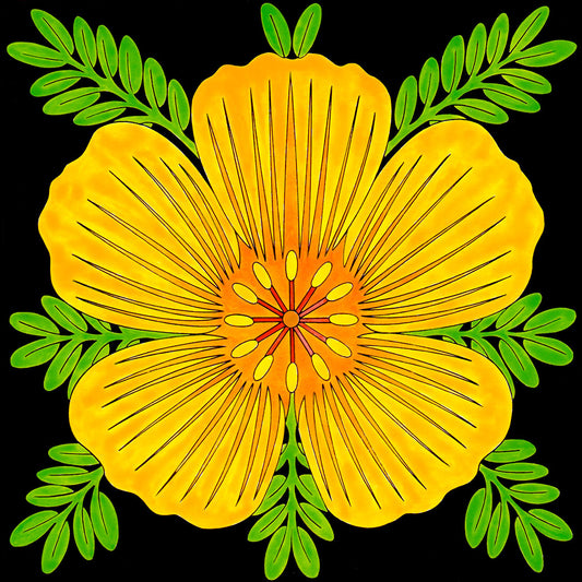 picture of yellow desert poppy flower 12 inches by 12 inches. tucson artist wil taylor