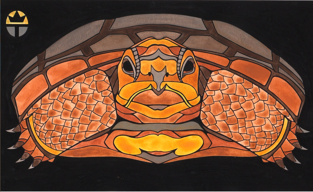 Desert Tortoise
