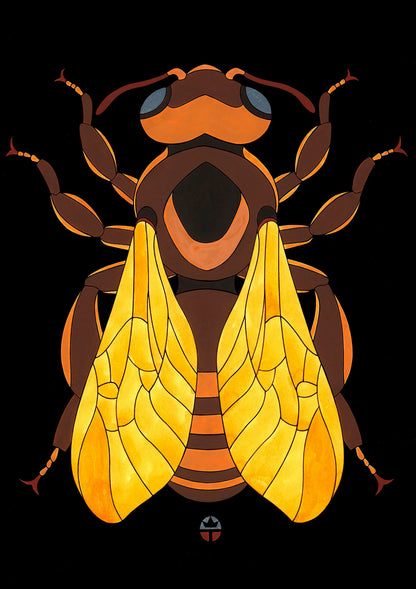 Diadasia Rinconis
