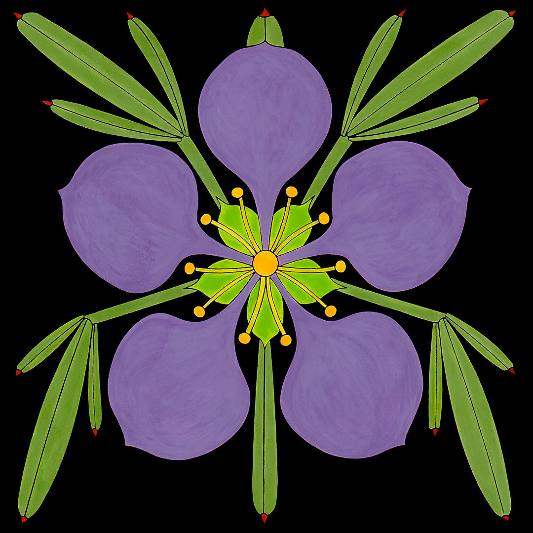 Fagonia