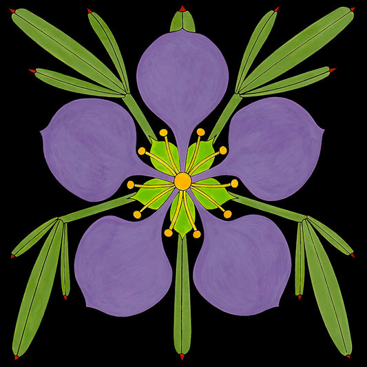 Fagonia