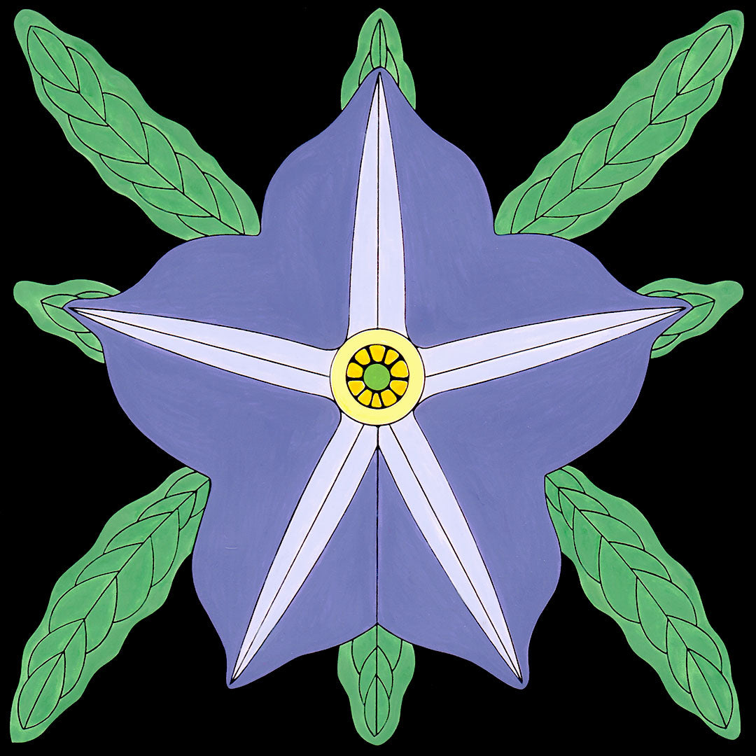 Horse Nettle flower print by Wil Taylor 12 inches x 12 inches
