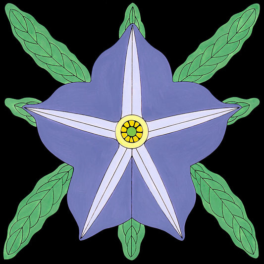 Horse Nettle flower print by Wil Taylor 12 inches x 12 inches