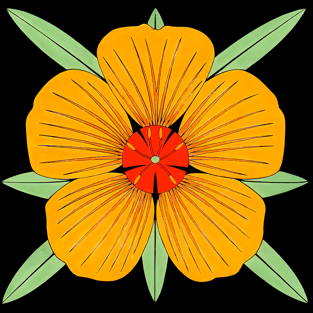 kallstroemia flower print by tucson artist wil taylor