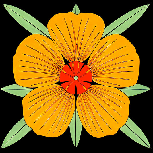 kallstroemia flower print by tucson artist wil taylor