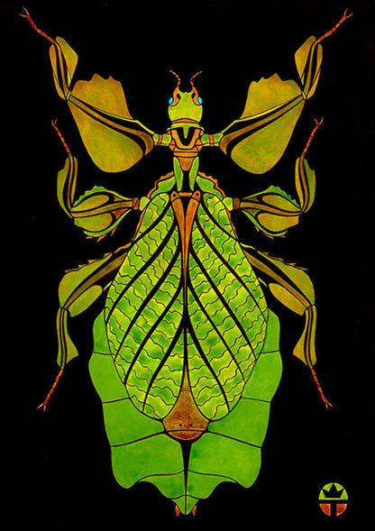 Leaf Bug