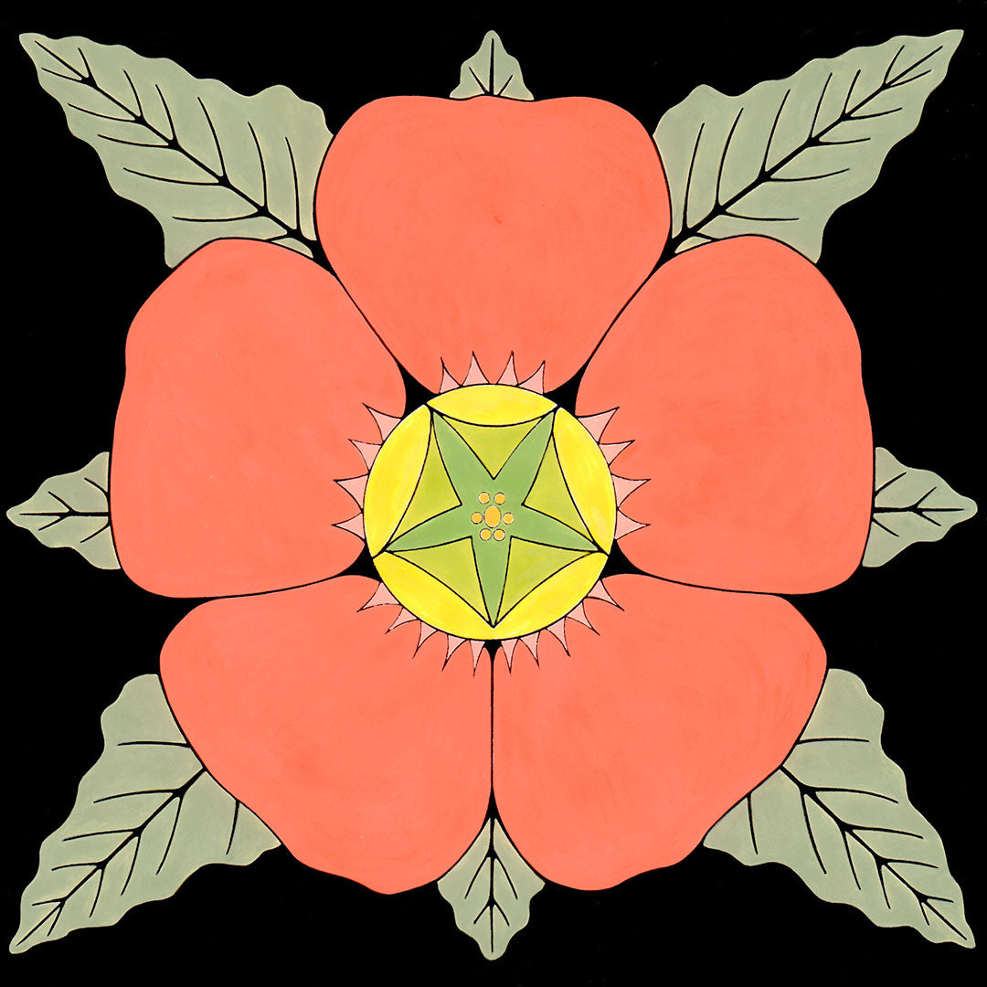 Globemallow flower on black background. by wil taylor. 12 inches by 12 inches. signed print