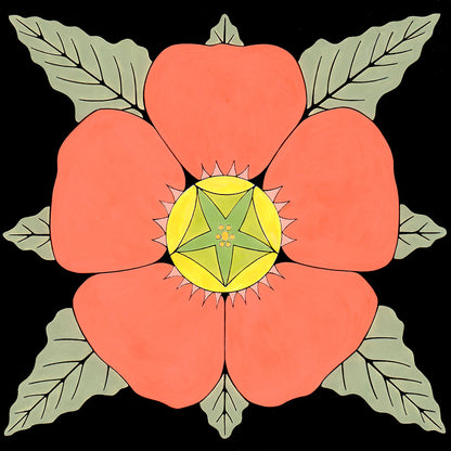 Globemallow flower on black background. by wil taylor. 12 inches by 12 inches. signed print