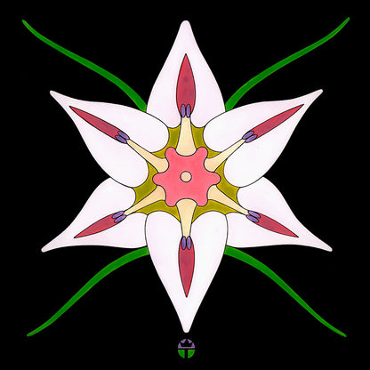 Onion Flower