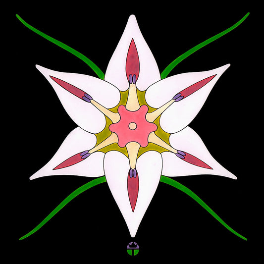 Onion Flower