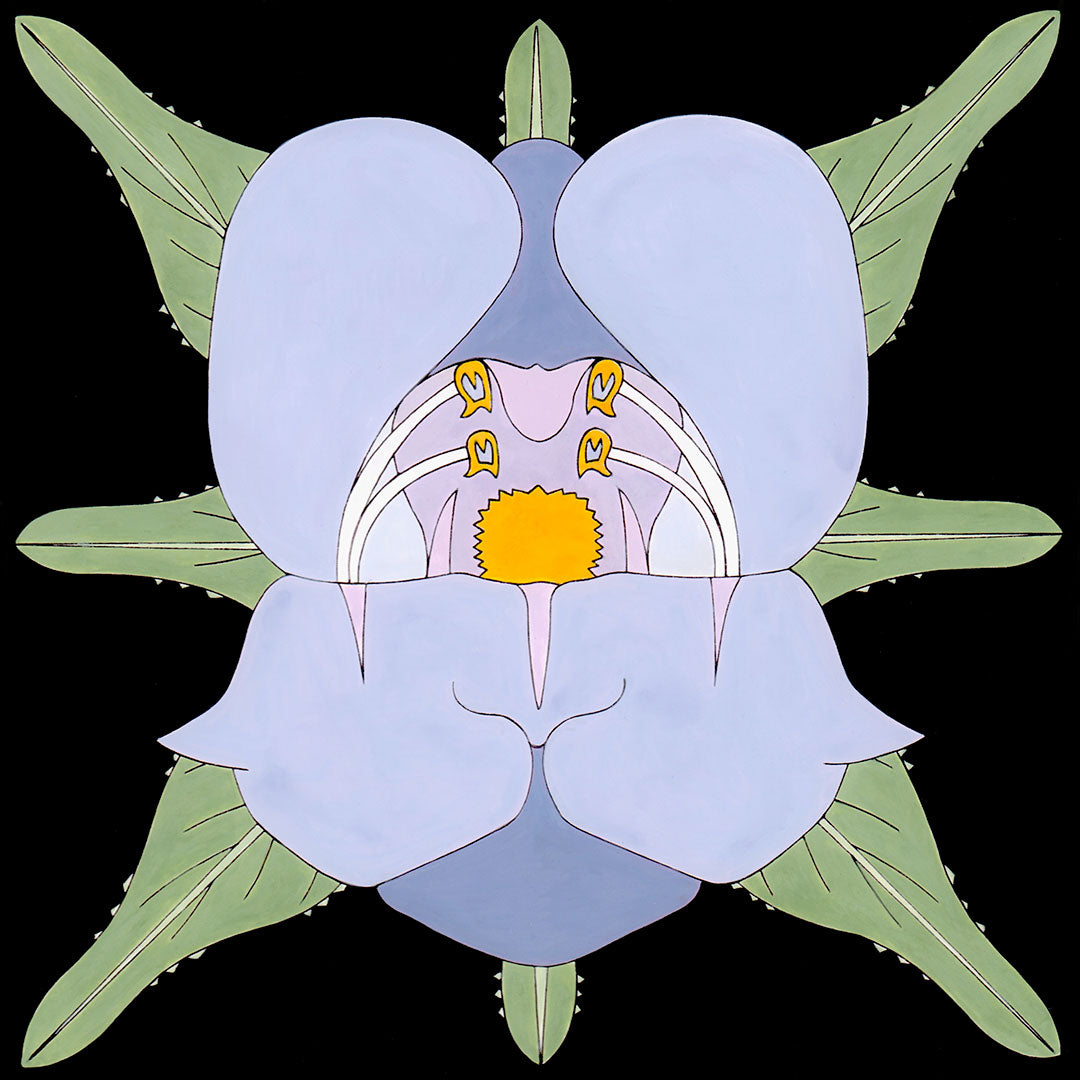 palmeri penstemon flower