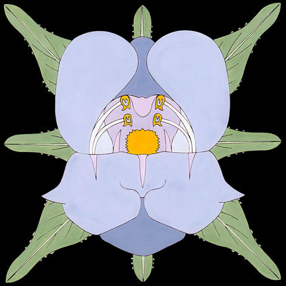 palmeri penstemon flower