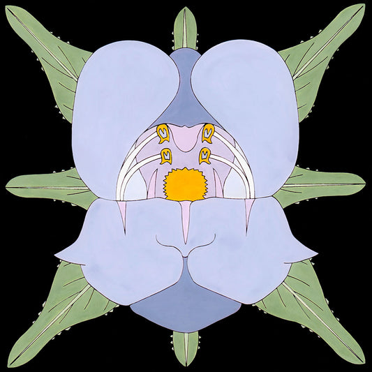 palmeri penstemon flower