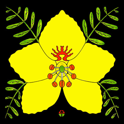 yellow palo verde blossom artwork on black background by wil taylor. print is 12 inches x 12inches
