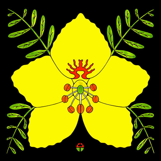 yellow palo verde blossom artwork on black background by wil taylor. print is 12 inches x 12inches